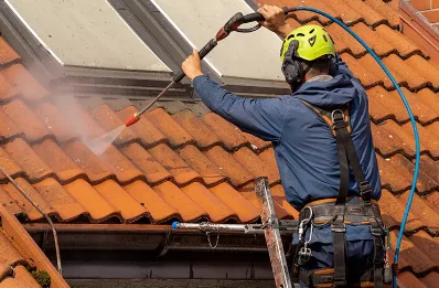 Démoussage et hydrofuge de toiture à Oncieu